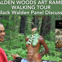 Weaving An Address - Curator Tour and Author Talk thumbnail