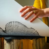 Burnt & Inked: All-Day Fiery Printmaking Workshop at New England Botanic Garden thumbnail