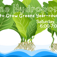 Home Hydroponics to Grow Greens Year-round with Chi-hua thumbnail