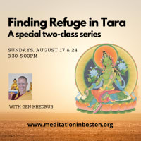 Finding Refuge in Tara: A special two-class series thumbnail