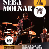 Seba Molnar at The Mad Monkfish thumbnail