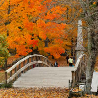 Historic Guided Walking Tour featuring The North Bridge in Concord, MA thumbnail