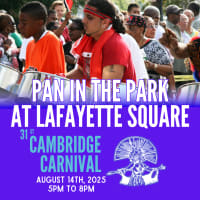 Pan in the Park at Lafayette Square - All Ages thumbnail