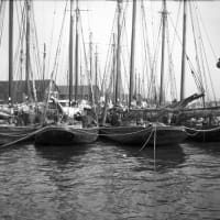 CAM Talk – Cape Ann Camera Club, with Madeline Schatten thumbnail