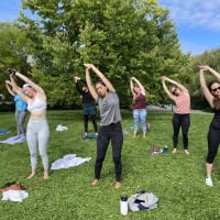 FREE All levels Vinyasa Yoga thumbnail