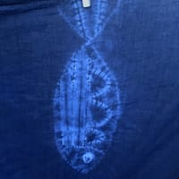 Fall Workshop: Introduction to Japanese Indigo Shibori thumbnail