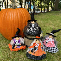 Fall Workshop: Needle Felted Witches thumbnail