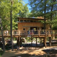 Backyard and Beyond: Treehouse Yoga at Discovery Museum thumbnail