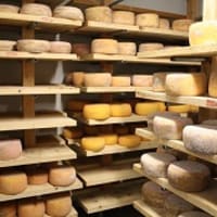 Say Cheese! – Adult Cooking Class thumbnail
