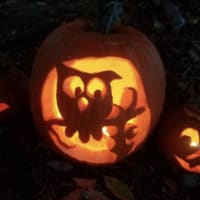 Boo in the Barnyard at Powisset Farm thumbnail