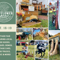 Mayflower Market Days thumbnail