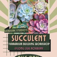 Pints & Plants - Succulent Terrarium Building Workshop thumbnail