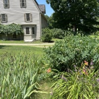 Souvenirs and Science: Flower Pressing and Herbarium Workshop thumbnail