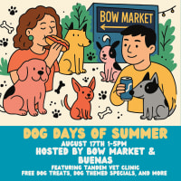 Dog Days of Summer  thumbnail