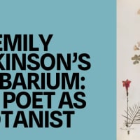 Exhibition Lecture – Emily Dickinson’s Herbarium: The Poet as Botanist thumbnail
