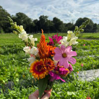 Pick Your Own Flowers thumbnail