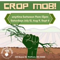 Crop Mob thumbnail