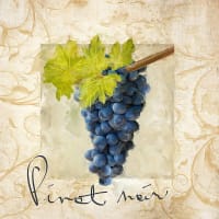 Pinot Noir Nights at Troquet on South thumbnail