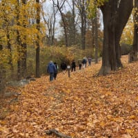 Autumn Stroll at Crane Estate: Guided Nature Walk of Hidden Shores, Gardens & Trails thumbnail