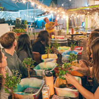Bonsai Workshop at Castle Island Brewing Co. thumbnail