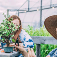 Bonsai Workshop at Hopothecary Ales Brewery and Kitchen thumbnail