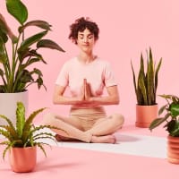 Yoga Among Plants (Bonus FREE Plant Included!) thumbnail