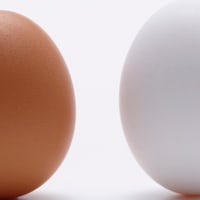 Family Workshop: Egg Drop thumbnail
