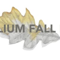 Trillium Fall Fest thumbnail