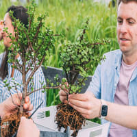 Bonsai Workshop at Long Live Beerworks - Roxbury thumbnail