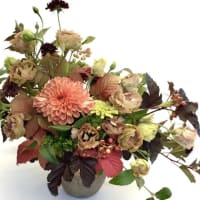 Autumn Equinox Late Summer Floral Abundance thumbnail