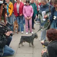 Art on Film: The Camera as a Tool of Intervention thumbnail