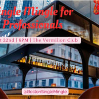 Single Mingle for Professionals thumbnail
