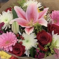 Watercolors: Botanicals thumbnail