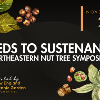 Seeds to Sustenance: Nut Tree Symposium thumbnail