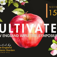 Cultivated: New England Apple Tree Symposium thumbnail