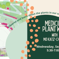 Medicinal Plant Walk thumbnail