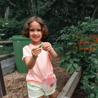 Celebrate Take a Child Outside Week! Outdoor Scientists at Discovery Museum thumbnail