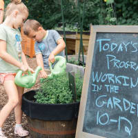 Celebrate Take a Child Outside Week! Working in the Garden at Discovery Museum thumbnail
