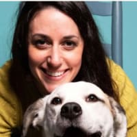 Sometimes Stormy - Storytime and Book Signing with Amanda Davis thumbnail