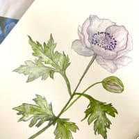 Intro to Watercolor: Fall Blooms thumbnail