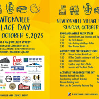 Newtonville Village Day thumbnail