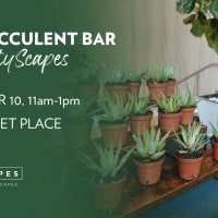 D.I.Y. Succulent Bar thumbnail