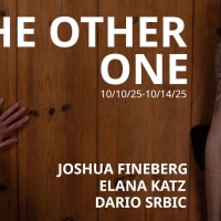 Site-specific Exhibition: THE OTHER ONE thumbnail