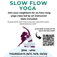 Instructed Slow Flow Yoga thumbnail