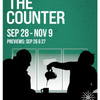 The Counter thumbnail