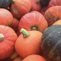 Savor the Squash – Adult Cooking Class thumbnail