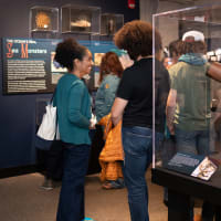 ArtsThursdays at the Harvard Museums of Science & Culture thumbnail