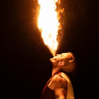 Phantoms by Firelight thumbnail