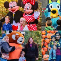 Family Fun Nights at Jack-O-Lantern Spectacular  thumbnail