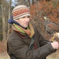 Flying Into Fall: A Birding Adventure Celebrating October Big Day 2025 thumbnail